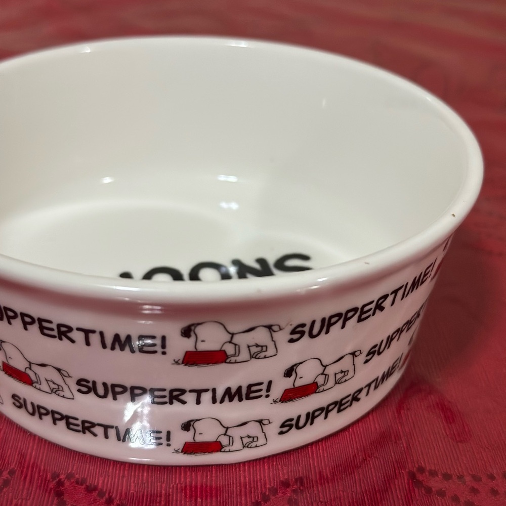 Peanuts Snoopy Pet Bowl collection - Picture 11 of 15